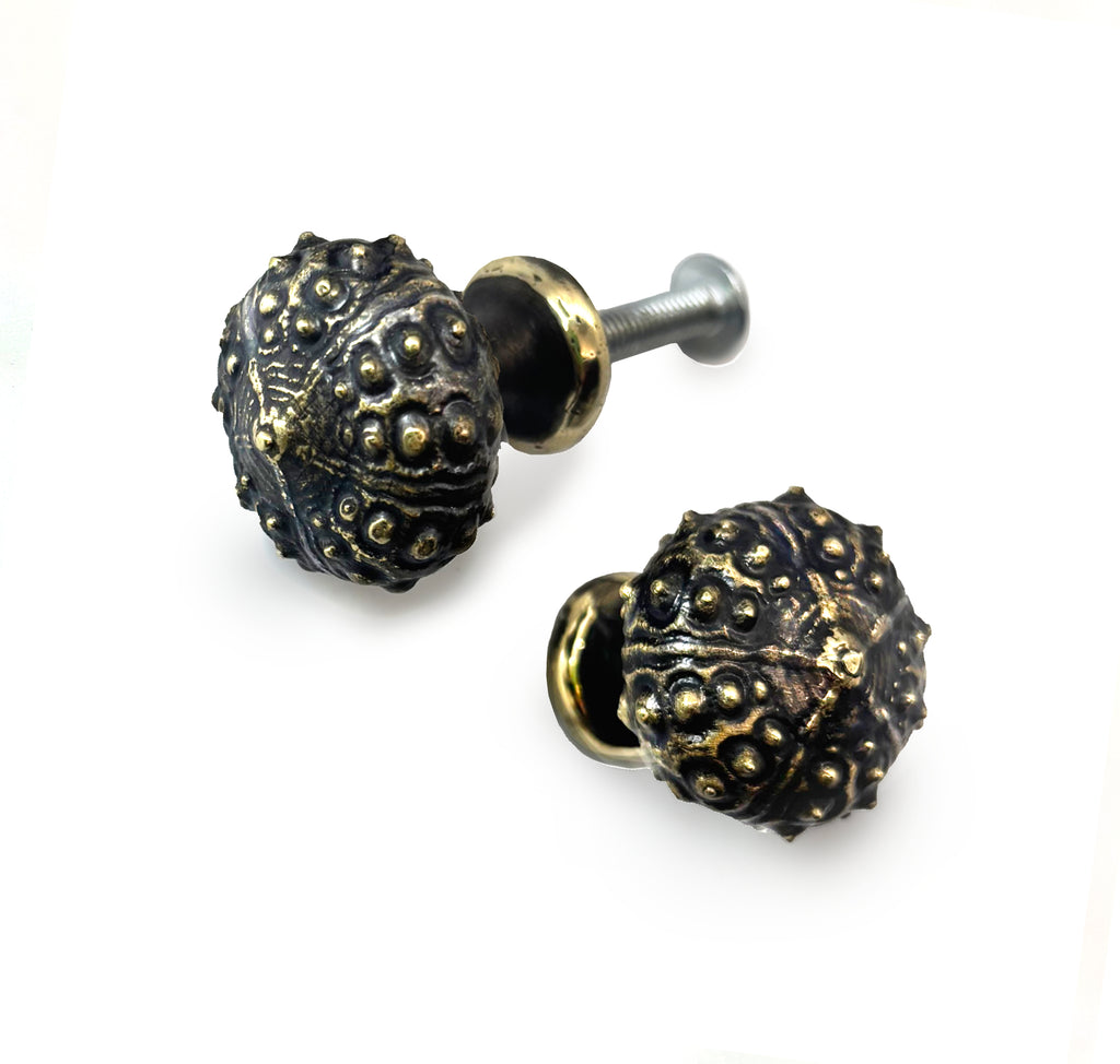 Urchin Knob - Nautical - Gold Brass